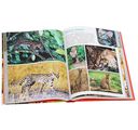 Моя большая книга о животных — фото, картинка — 11