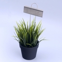 Набор садовых табличек (3 шт.) — фото, картинка — 4