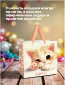 Пакет бумажный подарочный 