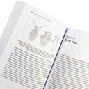 Краткая история насекомых. Шестиногие хозяева планеты — фото, картинка — 2