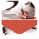 Конверт для денег 