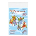 Набор для вышивания на пластиковой канве 