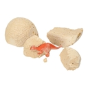 Набор для раскопок 