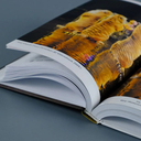 Понять хищника — фото, картинка — 7