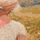 Алмазная вышивка-мозаика 