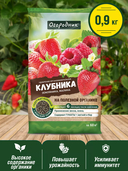 Удобрение для клубники 