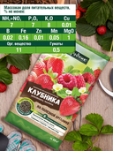 Удобрение для клубники 