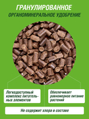 Удобрение для клубники 