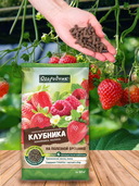 Удобрение для клубники 