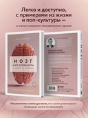 Мозг и его потребности 2.0. От питания до признания — фото, картинка — 3