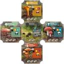 Грибы и корни — фото, картинка — 2