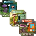 Грибы и корни — фото, картинка — 3