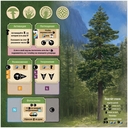 Грибы и корни — фото, картинка — 7