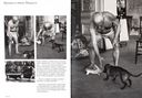 Лумп – собака, которая съела Пикассо — фото, картинка — 1
