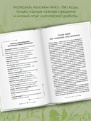 Магия трав и растений — фото, картинка — 3