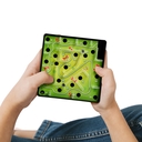 Весёлый лабиринт — фото, картинка — 4