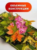 Насекомые — фото, картинка — 3