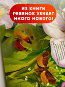 Насекомые — фото, картинка — 4