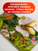 Насекомые — фото, картинка — 5