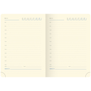 Ежедневник недатированный 