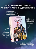 Stray Kids. Биография — фото, картинка — 4