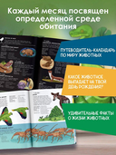 Животные каждый день — фото, картинка — 3