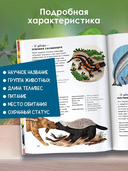 Животные каждый день — фото, картинка — 4