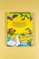 Животные каждый день — фото, картинка — 6