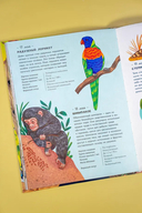 Животные каждый день — фото, картинка — 9