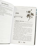 Трон секретов — фото, картинка — 5