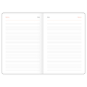 Ежедневник недатированный  Ежедневник недатированный