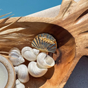 Заколка-крабик для волос 