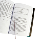 Хаски и его учитель Белый кот. Книга 1 — фото, картинка — 22