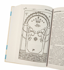 Властелин Колец — фото, картинка — 4