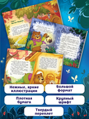 Как медвежонок друга искал — фото, картинка — 2
