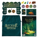 Лесные тропы — фото, картинка — 2