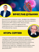 Человек. Исследуем тело и мозг человека — фото, картинка — 3