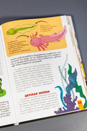 Человек. Исследуем тело и мозг человека — фото, картинка — 6