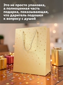 Пакет бумажный подарочный 