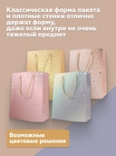 Пакет бумажный подарочный 