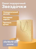 Пакет бумажный подарочный 