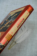 Как мы писали роман. Наблюдения Генри — фото, картинка — 3