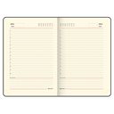 Ежедневник недатированный  Ежедневник недатированный