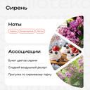 Соль для ванн 