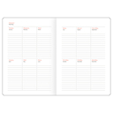 Ежедневник недатированный 